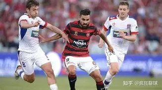 阚清子揭秘,求婚经历,粉丝点赞,欧亿体育官网,欧亿体育直播,体育赛事直播,足球直播