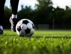 民进党企图,立法阻挠台,湾同胞申领,欧亿体育官网,欧亿体育直播,体育赛事直播,足球直播