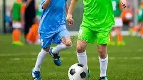 张恒撰写长文抨击郑爽，郑爽团队以行动回应：向张恒的热搜表示敬意